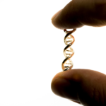 Hand showing isolation of DNA helix