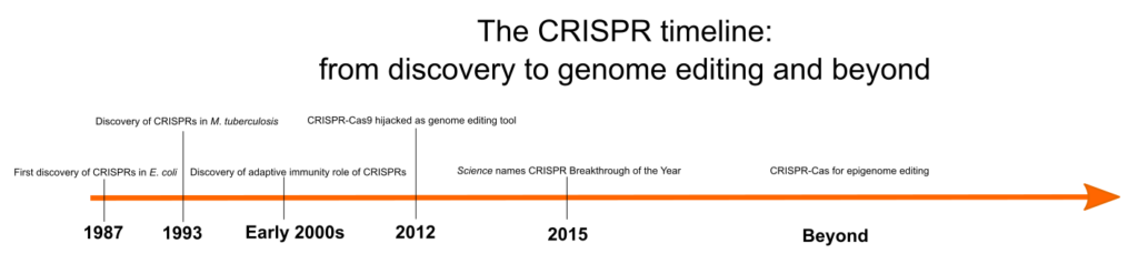 Timeline of CRISPR discovery and development