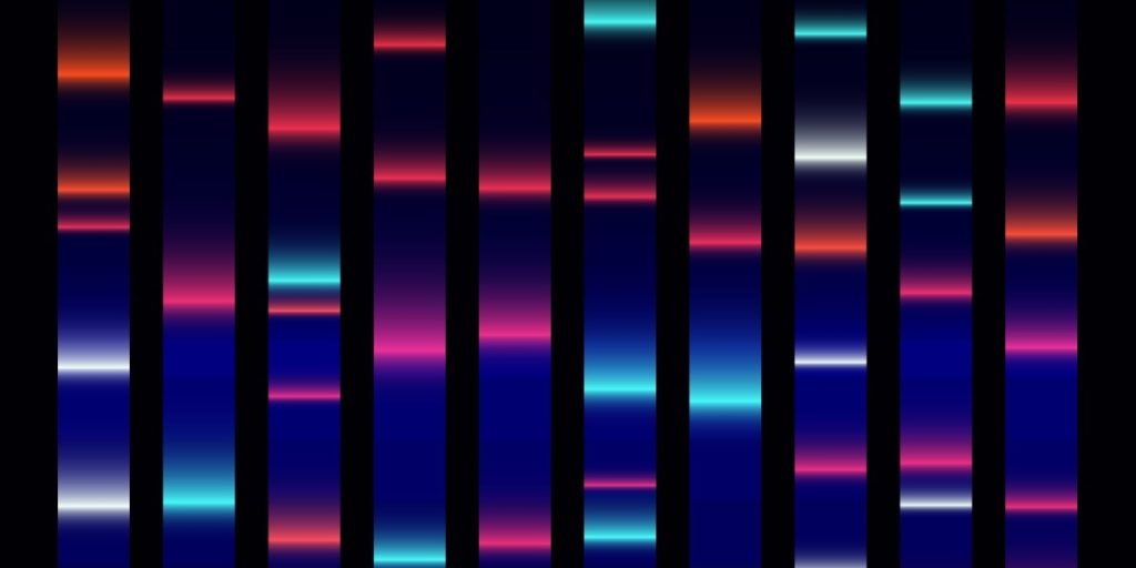 Image of Size Analysis of DNA using Gel Electrophoresis