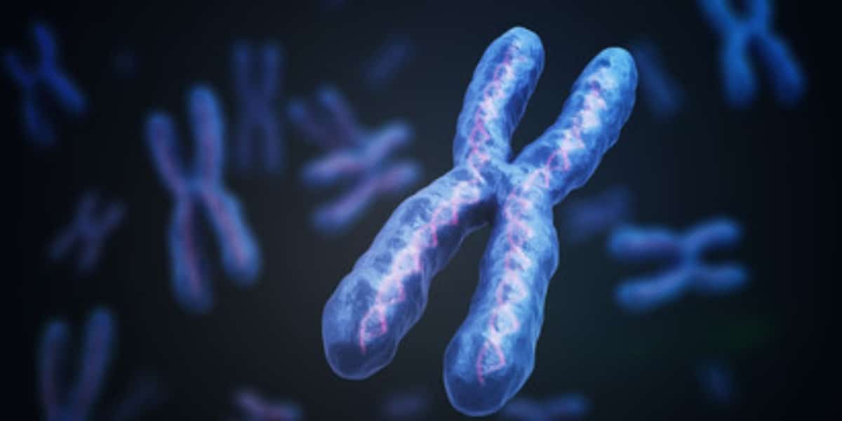 Preparing Metaphase Spreads From Painful To Perfect