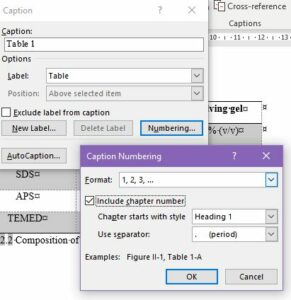 Using Word to Write your Thesis: Making a Table of Contents, Inserting Captions, and Cross-referencing