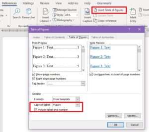 Using Word to Write your Thesis: Making a Table of Contents, Inserting Captions, and Cross-referencing