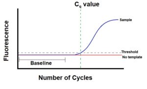 Image of a qPCR graph showing how the Cq value is obtained