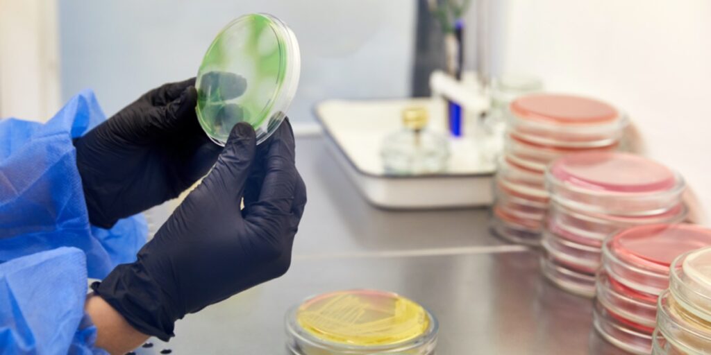 Gloved hands of a researcher holding a Petri dish with green stained medium and surrounded by other stacked Petri dishes with red and yellow stains to represent someone identifying microbes