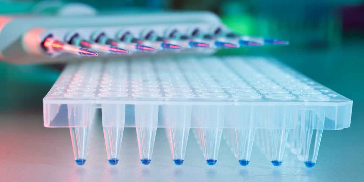 Multichannel pipette filling a microplate to depict new CRISPR screening technologies