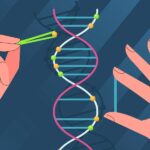 Cartoon of hands and DNA strand to represent calculating molecules in DNA