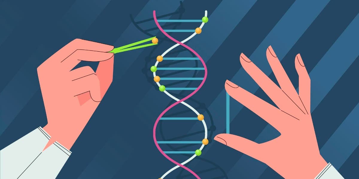 DNA Weight: Calculating Molecule Number in DNA Samples