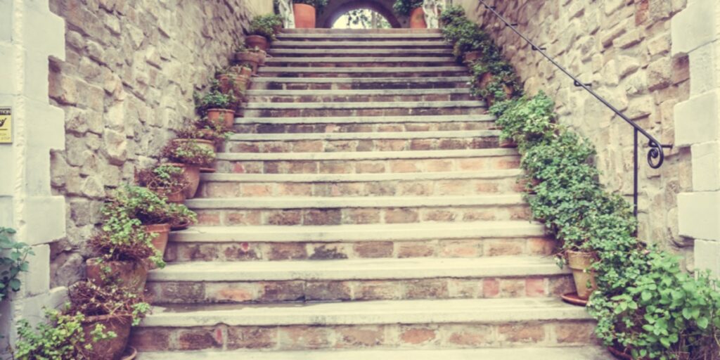 A stone staircase flanked by flowerpots to represent a step-by-step guide to qPCR primer design