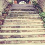 A stone staircase flanked by flowerpots to represent a step-by-step guide to qPCR primer design