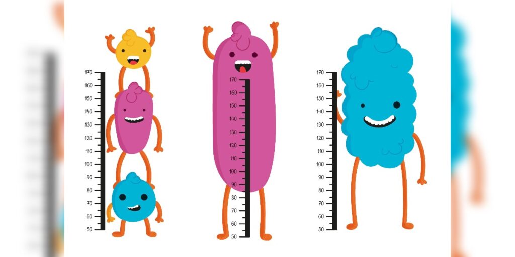 A cartoon depiction of five smiling cells standing next to height charts to represent assessing bacterial culture growth using OD600 measurements