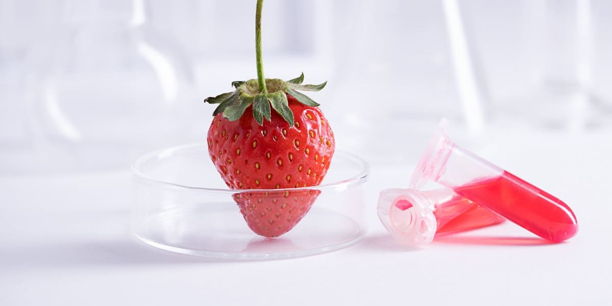 Image of strawberry and tubes to represent how DNA extraction kits work in the lab