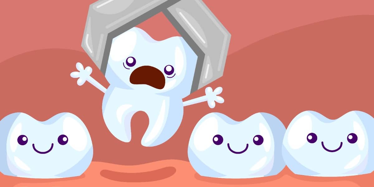 Image of a tooth being pulled as a play on word representing phenol extraction of DNA