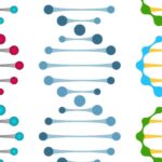 An image of different nucleic acid representations to depict xeno nucleic acids.