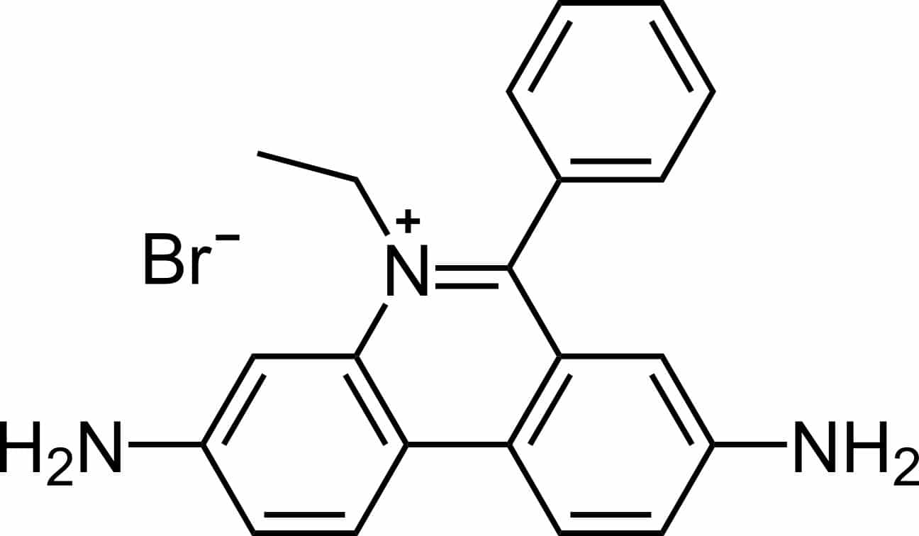 Ethidium Bromide: Understanding the Dangers