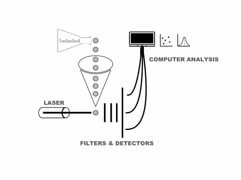 Flow Cytometry Gone Viral: Introducing Flow Virometry