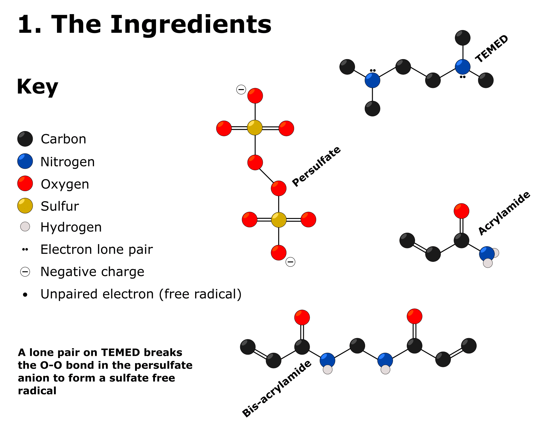 An Easy Sds Page Gel Recipe 10 Step