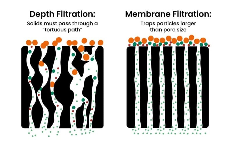 How Filtration Works: A Short Guide for Biologists