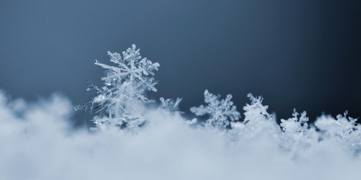 An image of snow crystals to depict protein crystallization seeding