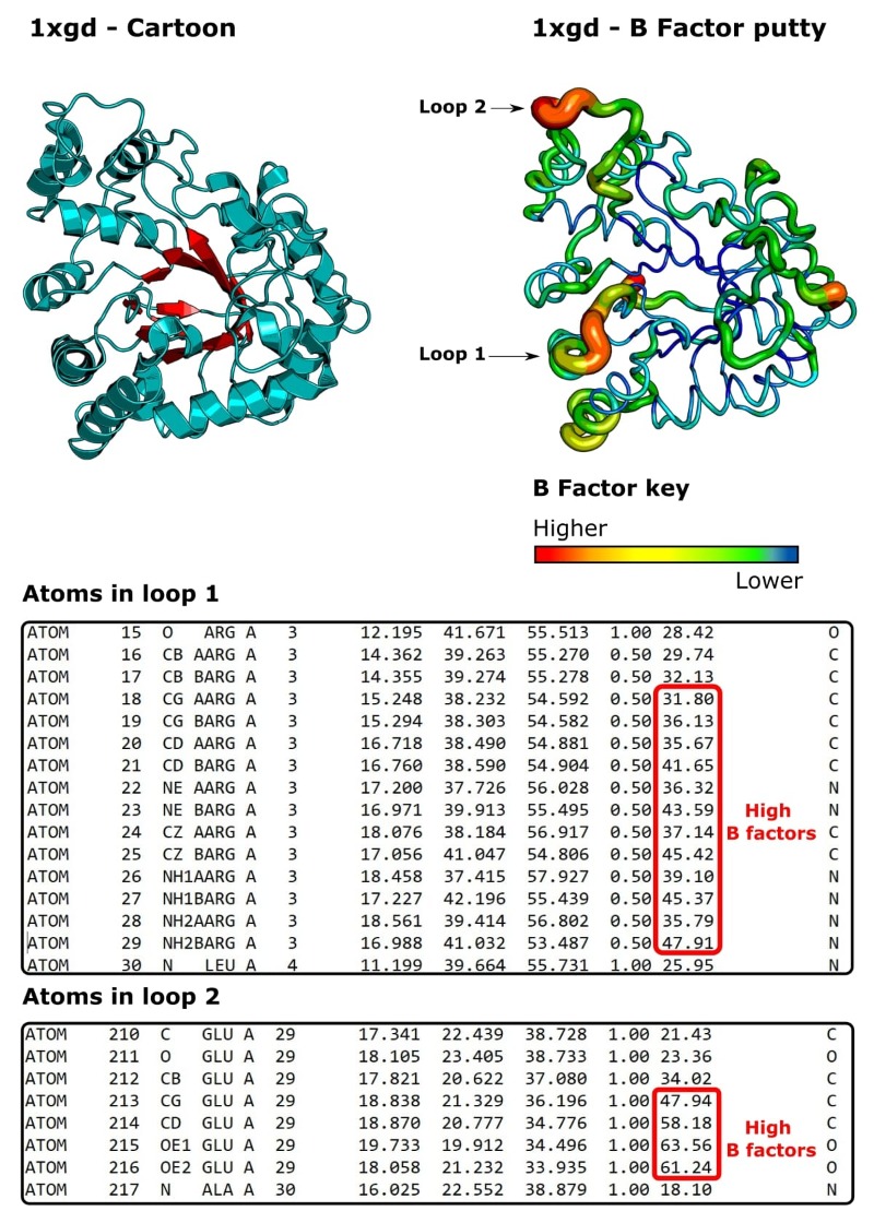 Protein data bank