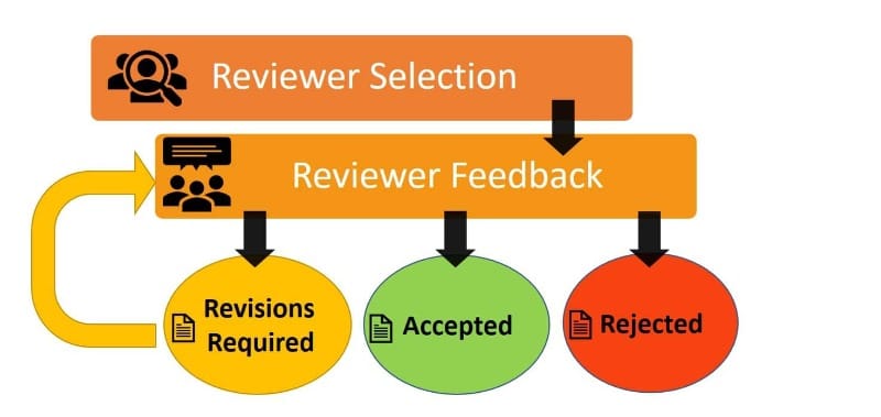 scientific research peer review process