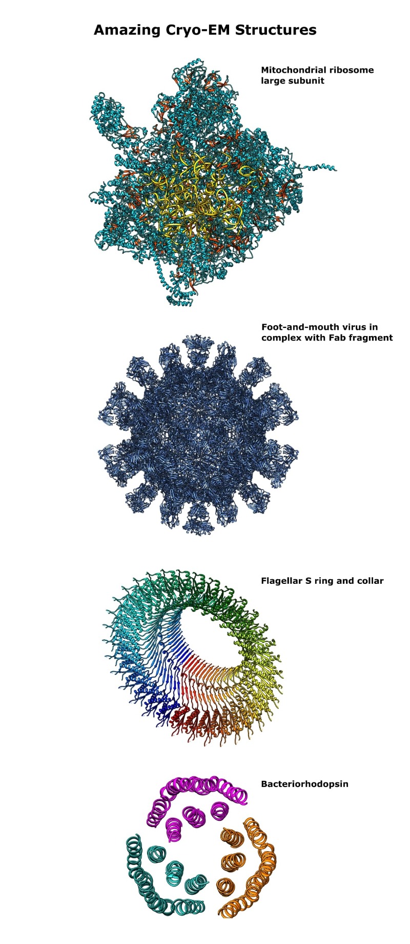 Discover the history of cryo-electron microscopy – Dinezh.com