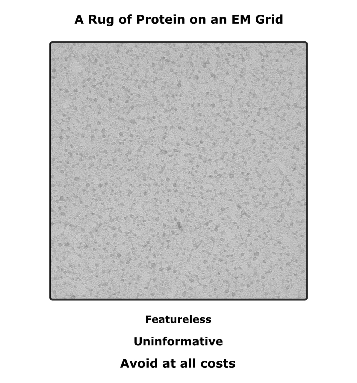 Cryo-EM Sample Prep: 5 Crucial Considerations 