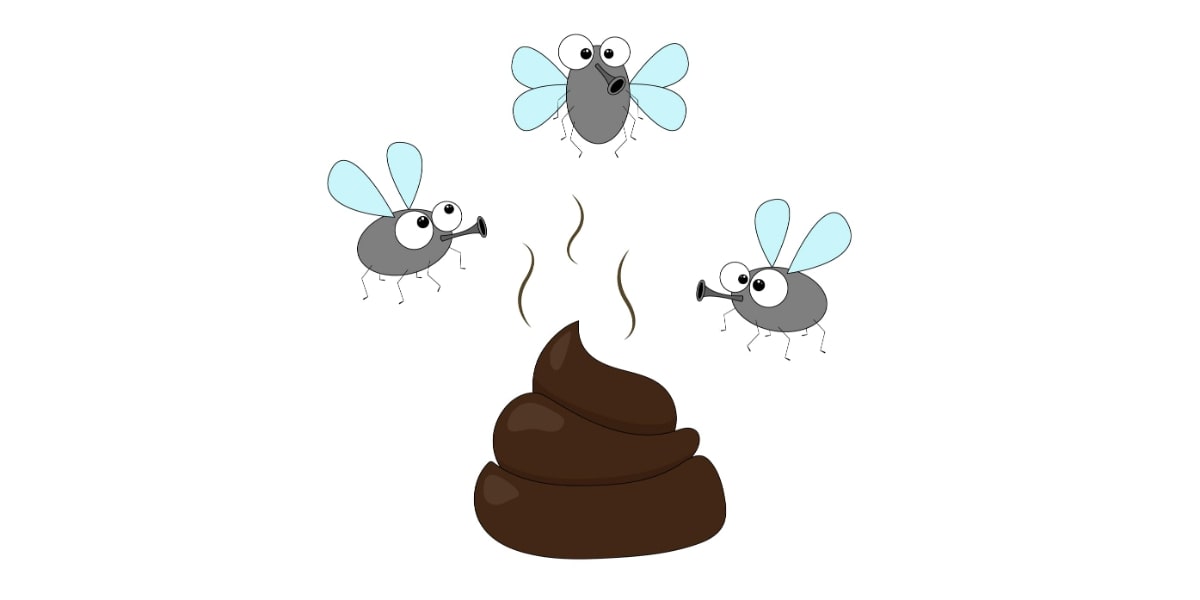 Cute flies buzzing around a poo to symbolize the worst lab smells