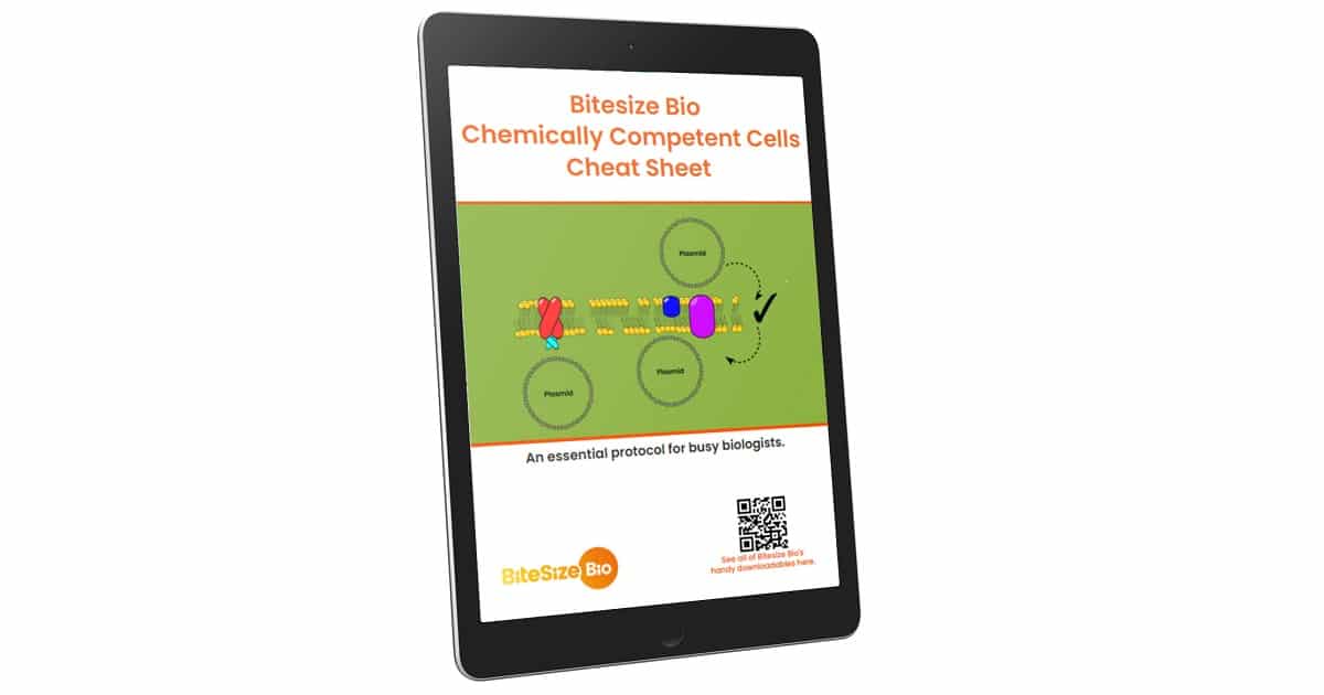 Image of Bitesize Bio's chemically competent cells protocol