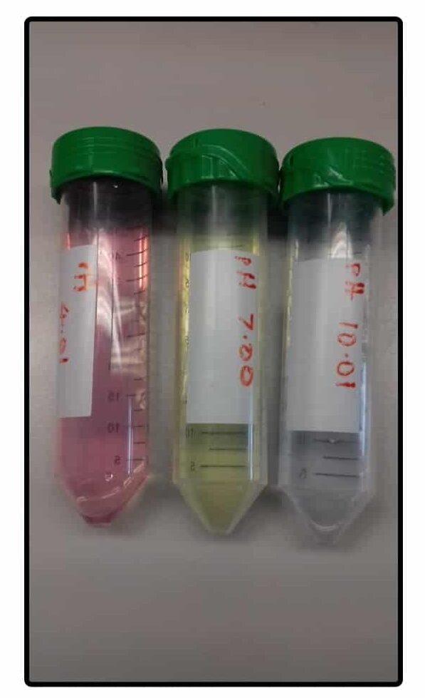 How to Use a pH Meter Correctly in 4 Simple Steps