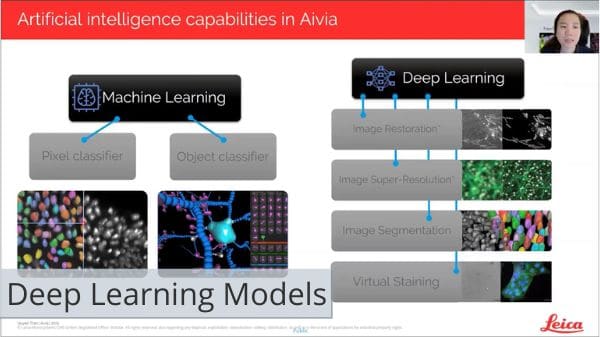 Deep Learning Models