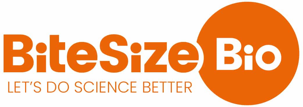 BSB logo lets make science better