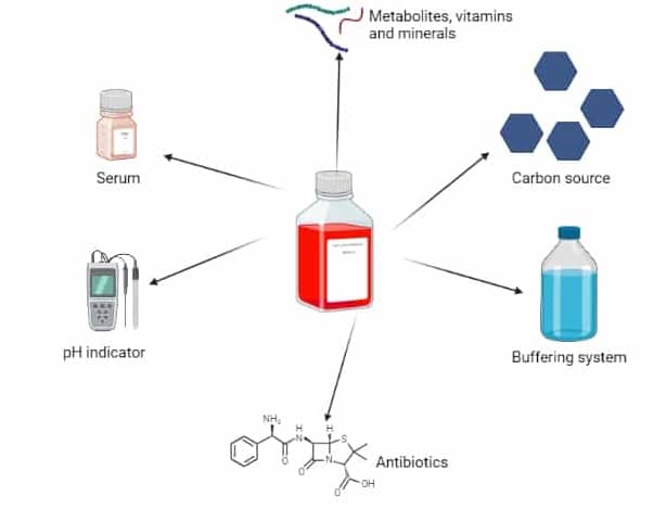 Figure 1. Composition of mammalian cell culture media.