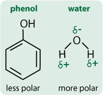  Figure 1. The polarity of Phenol Vs Water. 