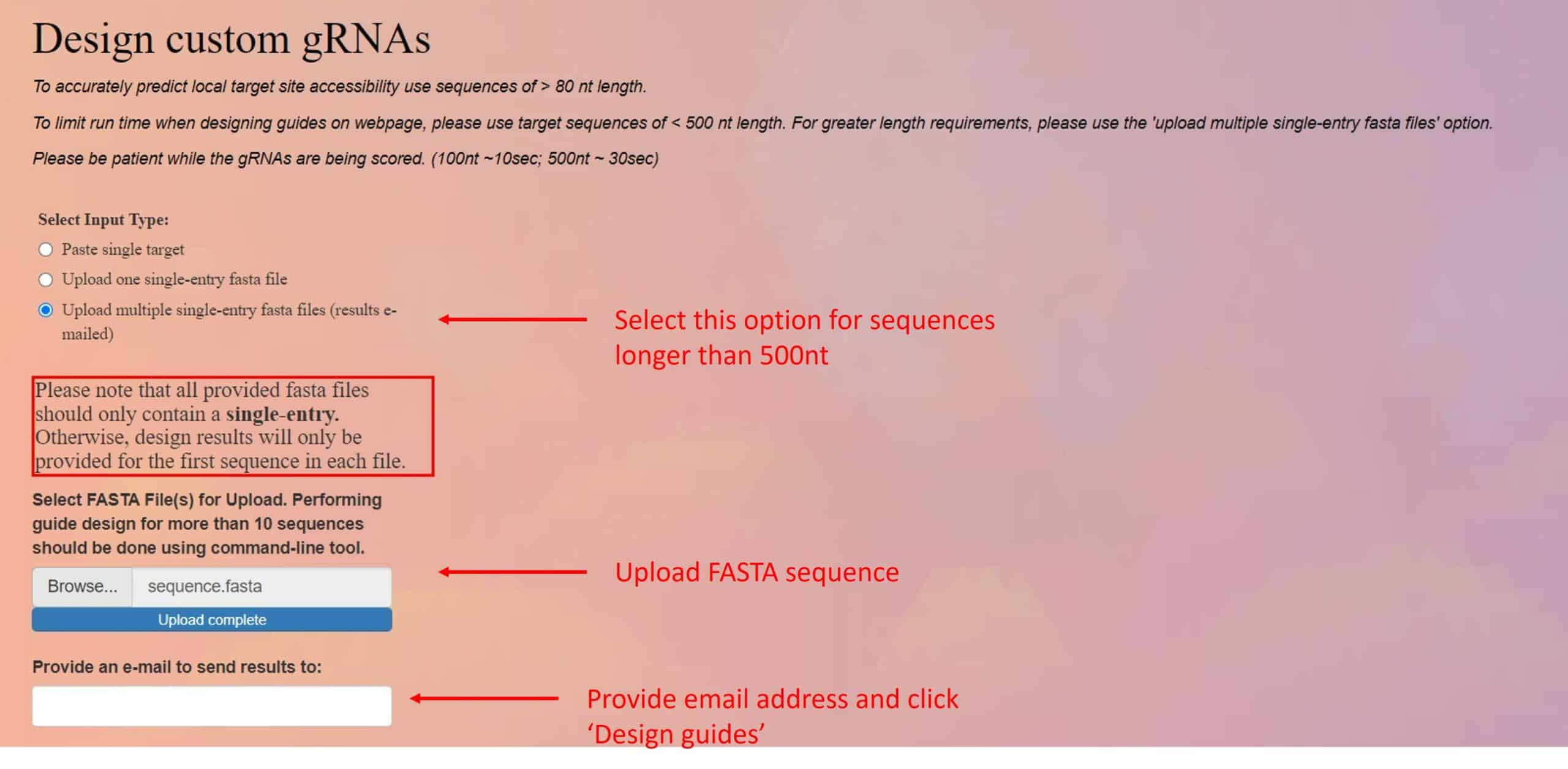 A Step-by-step Guide to Designing Cas13 gRNAs 