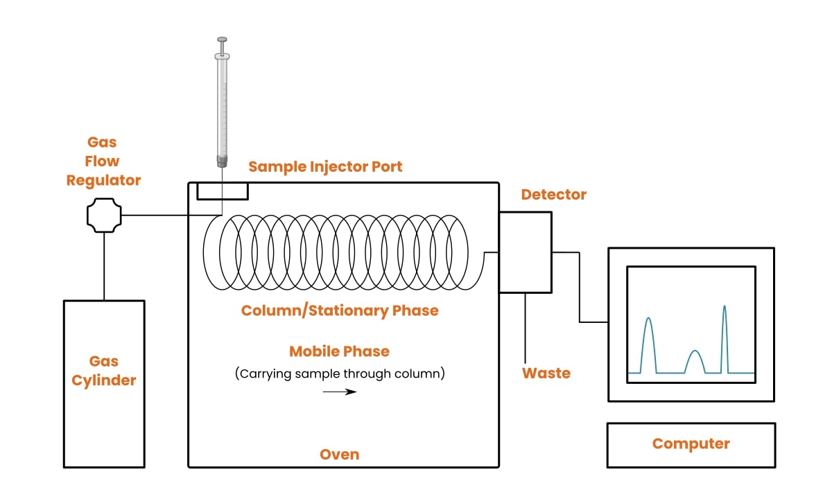 gas chromatography research paper