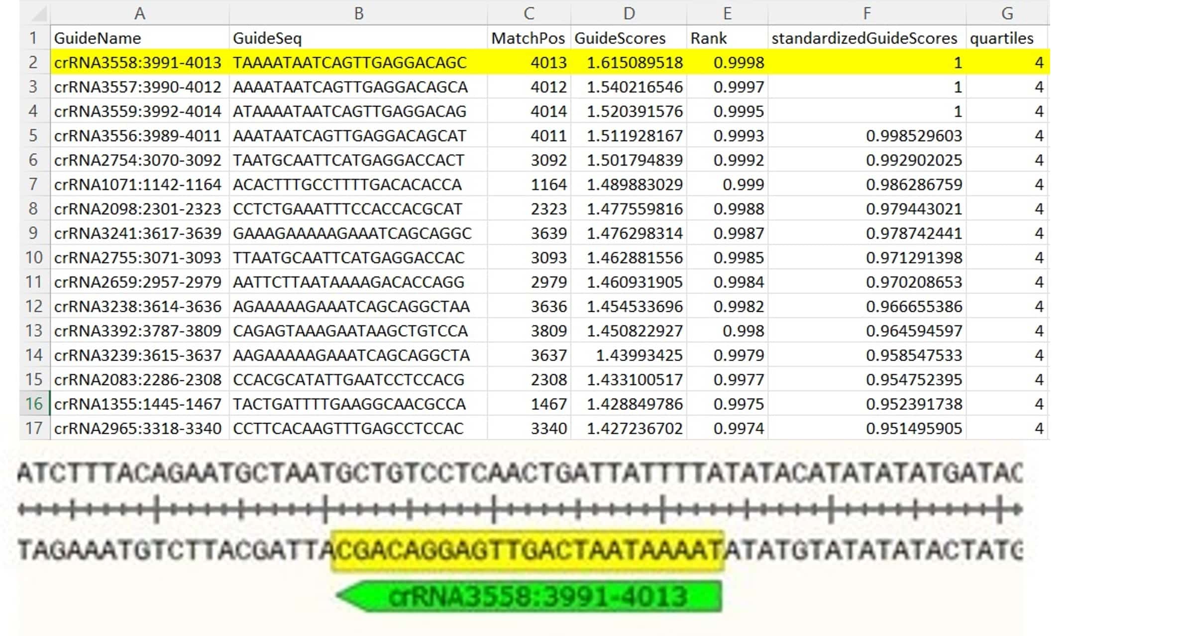 A Step-by-step Guide to Designing Cas13 gRNAs 