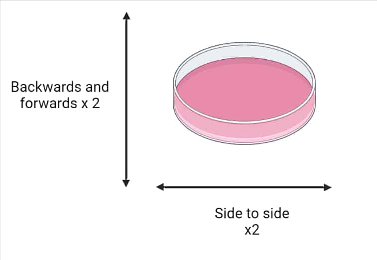 How to passage cells: getting even distribution of cells after seeding.