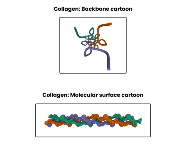 What is Protein Crystallography? An Easy Explanation
