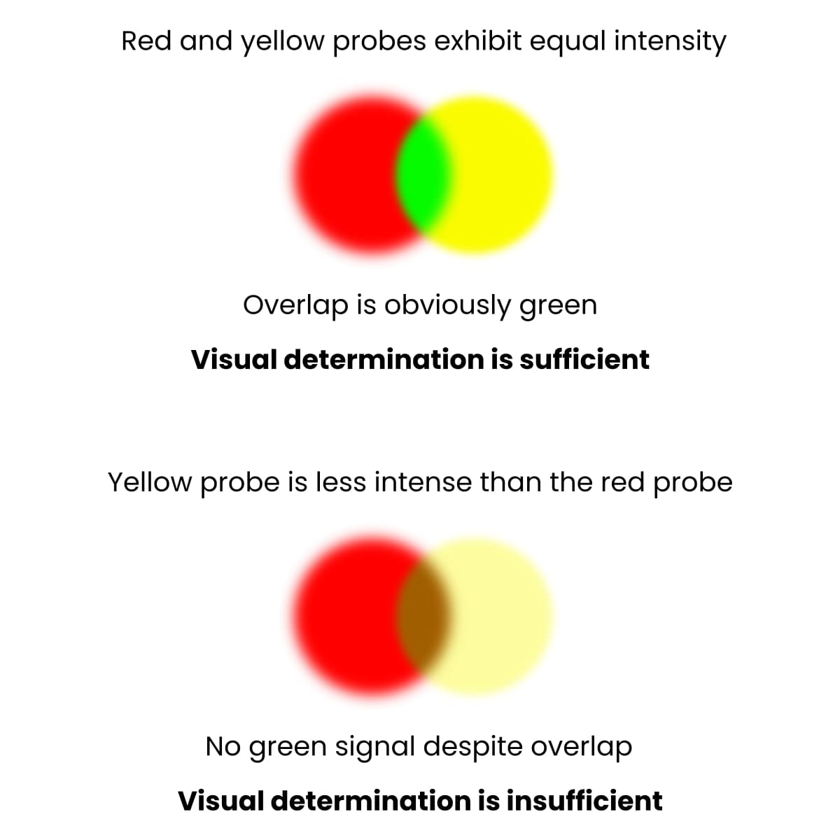 fiji imagej colocalization pearson