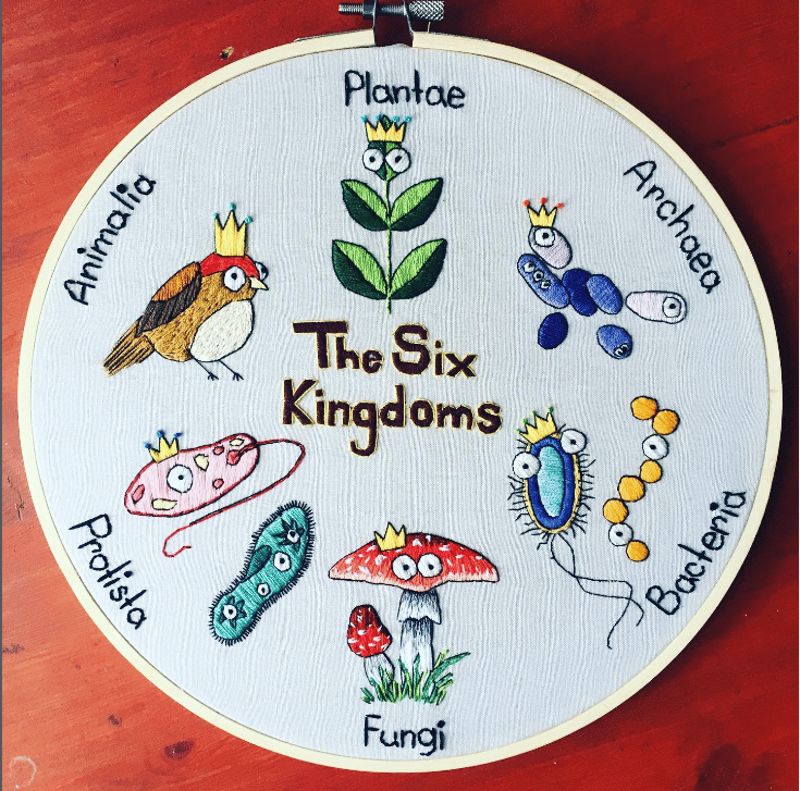 A cross stitch creation showing an example of fun hobbies for scientists.