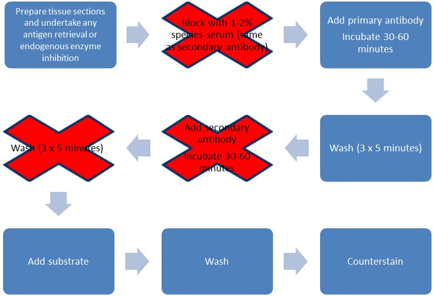 Getting Started with Immunohistochemistry