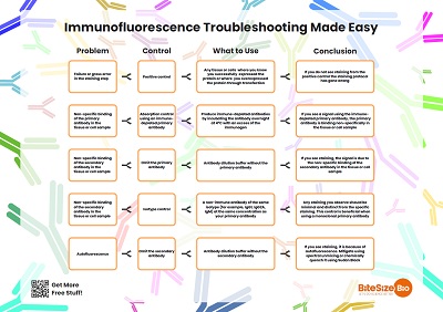 Immunofluorescence Troubleshooting Guide