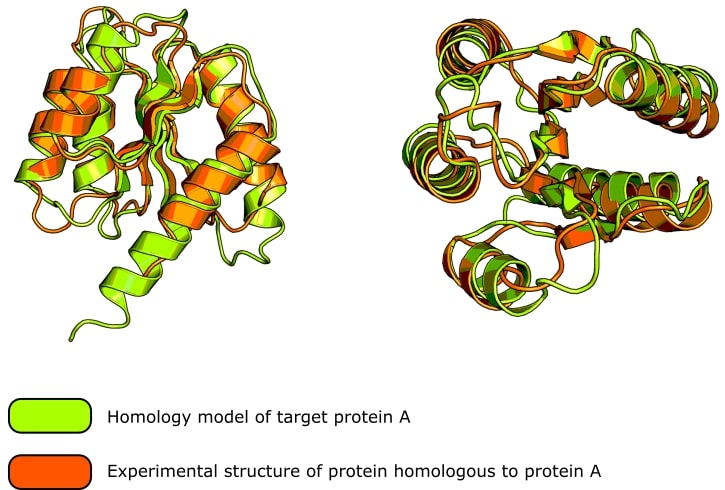 Protein Structure Prediction A Beginner s Guide To Free Tools And Methods Protein Structure Prediction A Beginner s Guide To Free Tools And Methods