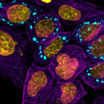 Improving_genome_editing_pipeline