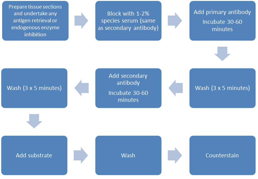 Getting Started with Immunohistochemistry