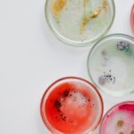 bacterial colonies on agar plates to depict how to Better Preserve Microorganisms.