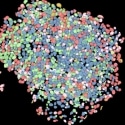 Get to Insights Faster and Easier with AI Image Analysis Tools