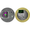 Integrated Solutions for Serial Sectioning and Cryo-EM with UC Enuity