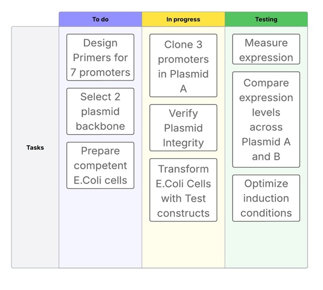 An Introduction to Agile Project Management for Biologists: 4 Techniques to Keep Your Research Moving