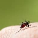 Key Methods in Antimalarial Drug Discovery and Development